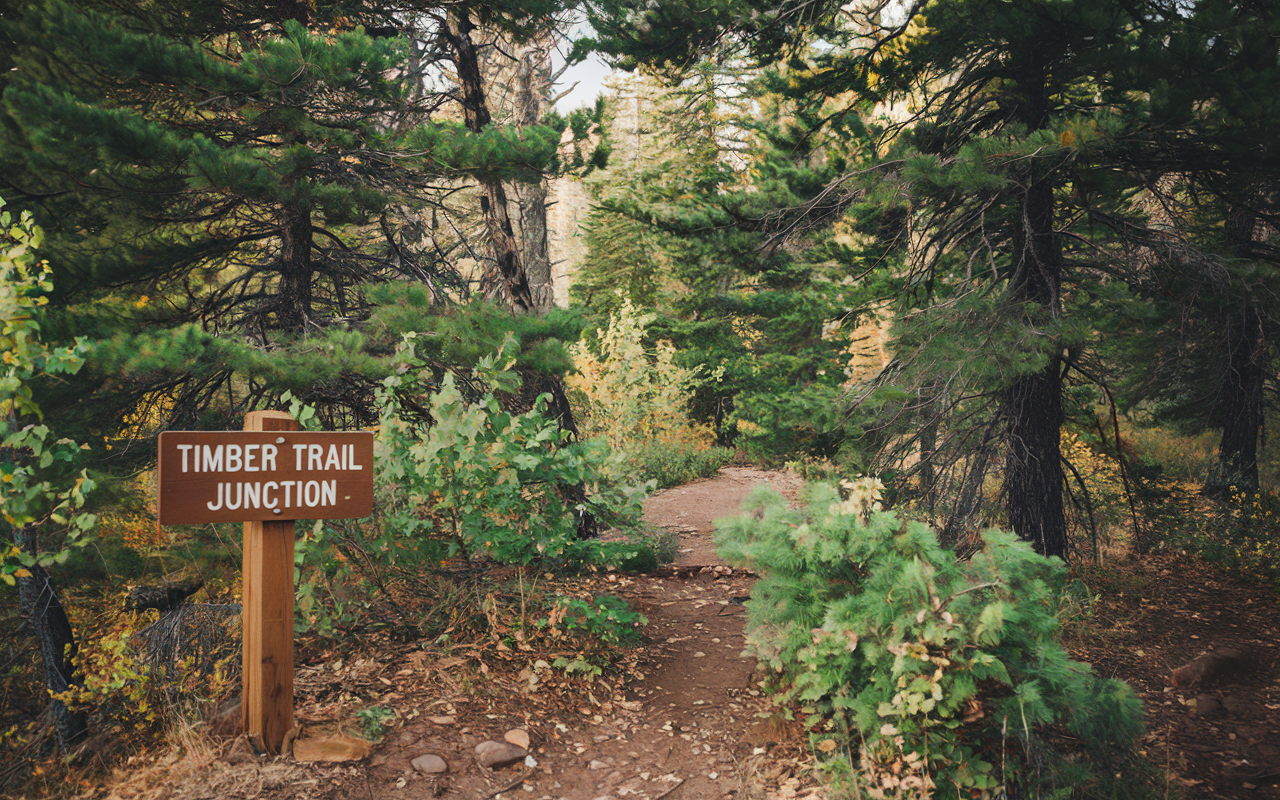 Timber Trail Junction – A Cowboy Camp for Free Spirits