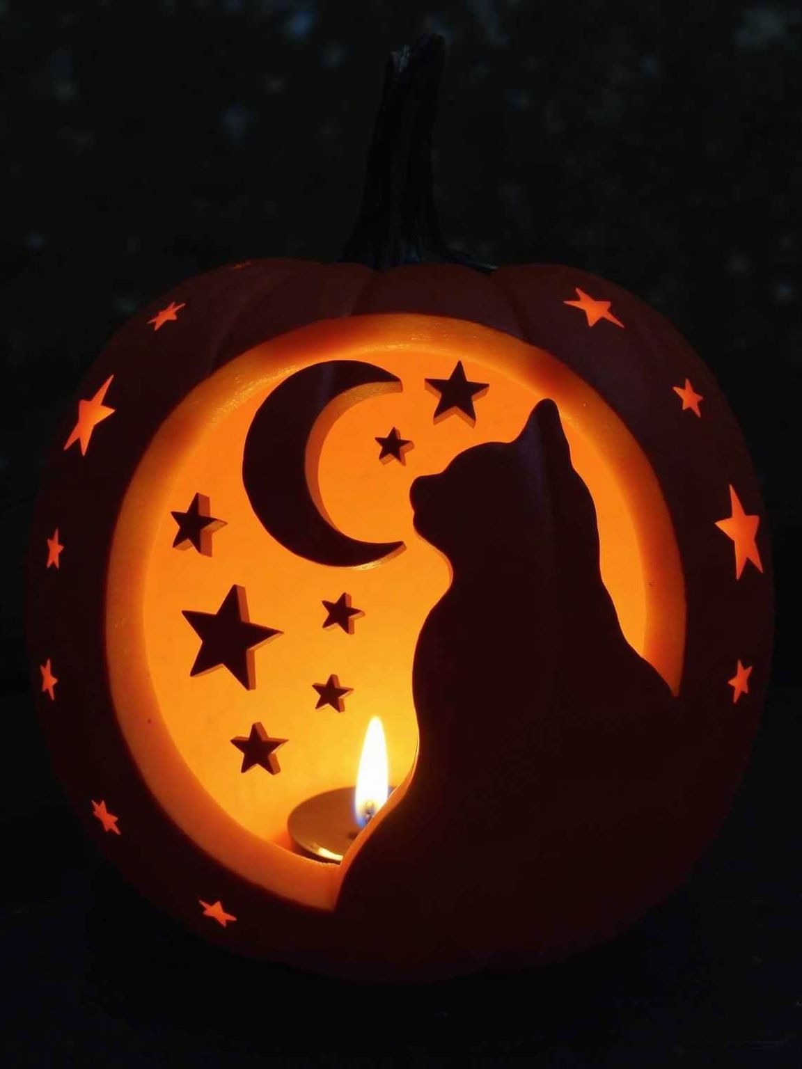 celestial cat moon carving