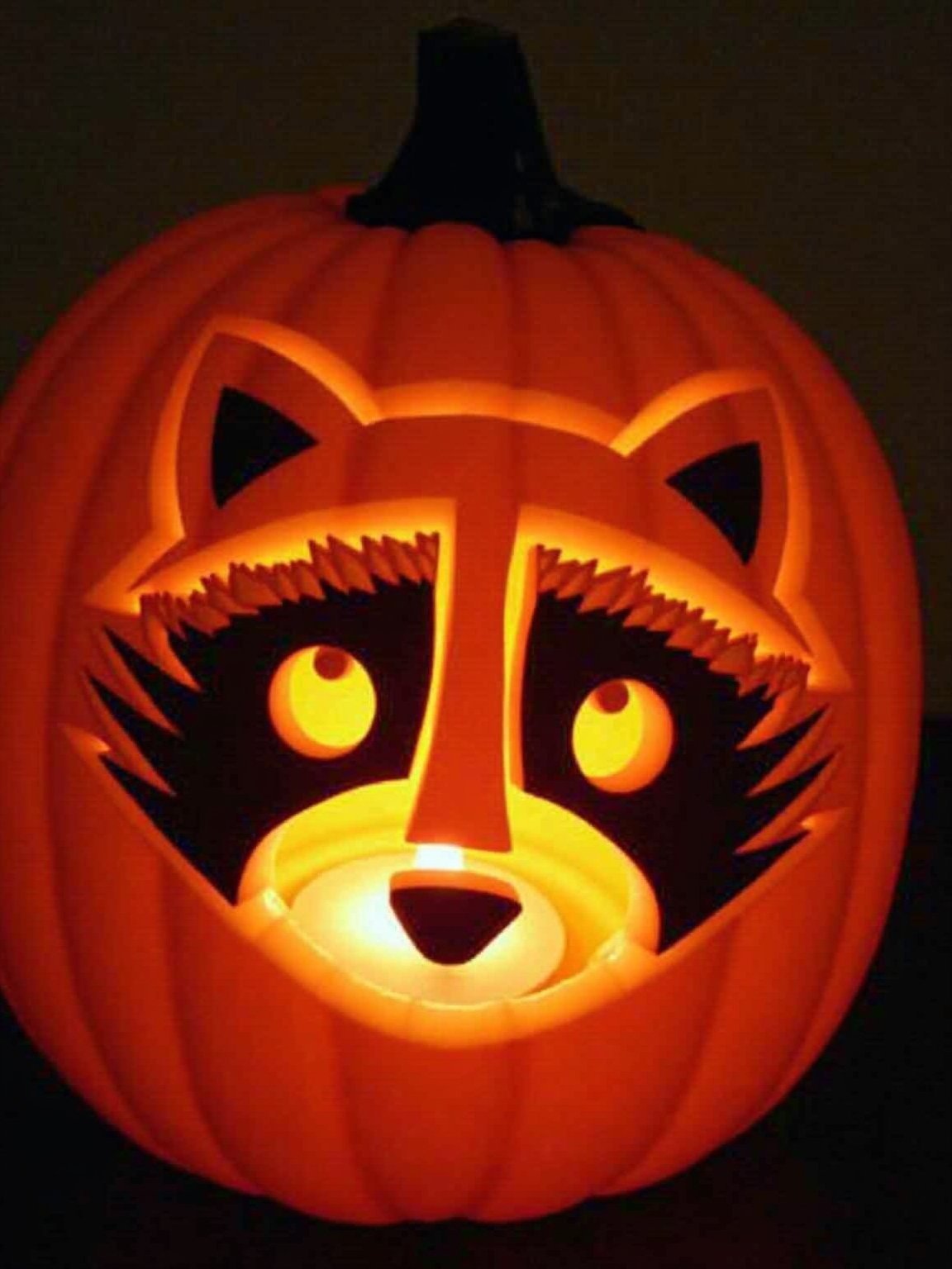 craft delightful raccoon mask