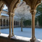 19 Winter Moments at the New York Cloisters That Will Transport You to Europe