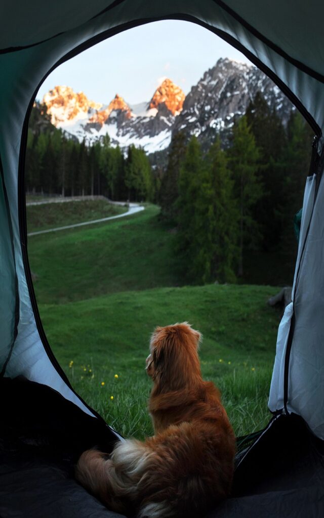 Ventilation & Condensation Control