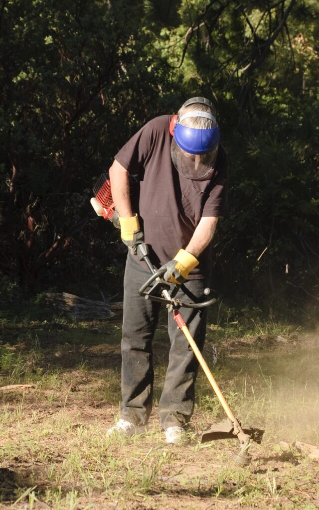 Clear and Prepare the Ground