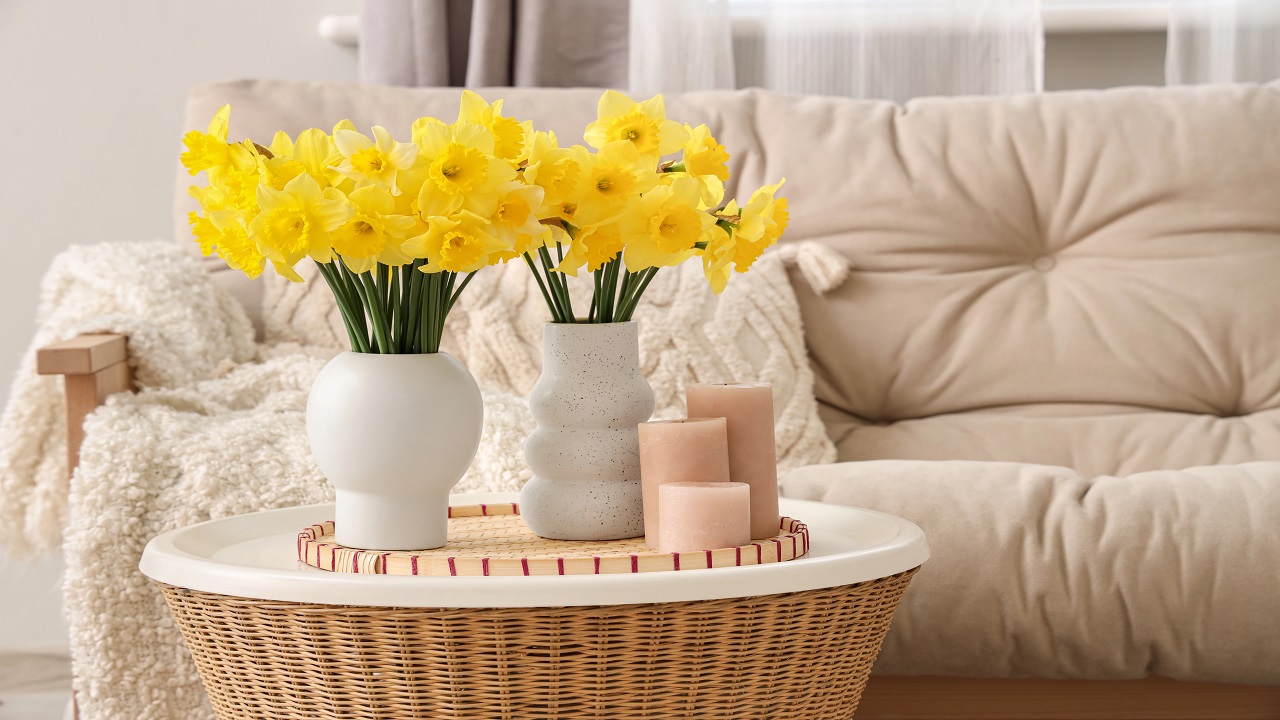 13 Spring Home Decor Tricks: Visual Editing & Spring Coffee Table Decor Trays for the Minimalist Mama