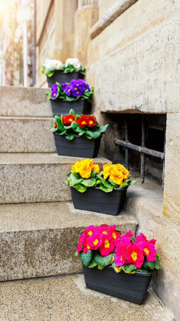 Early Spring Porch Decor for Established Homes: Adding Color Outside Before the Last Frost