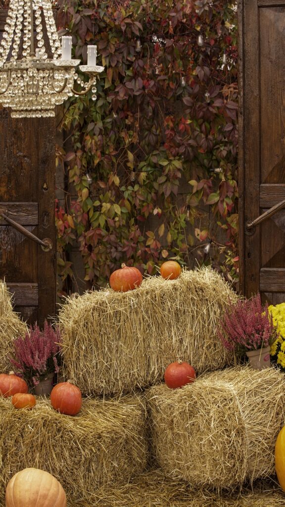 Hay Bales Are a Platform, Not a Prop