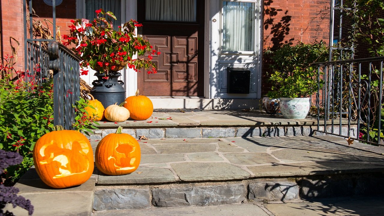 Modern Fall Porch Decor: Understated Autumn Without the Clutter
