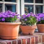 Fall Porch Planters: How to Build a Container That Lasts All Season