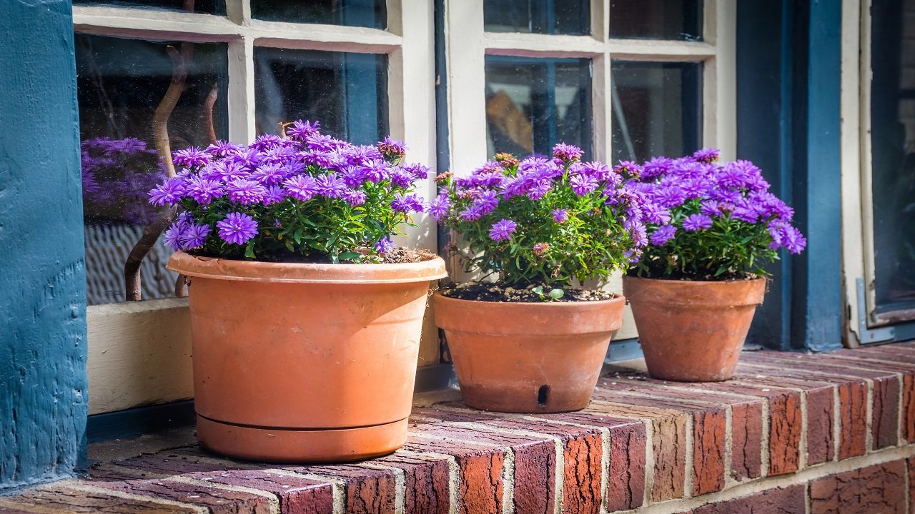 Fall Porch Planters: How to Build a Container That Lasts All Season