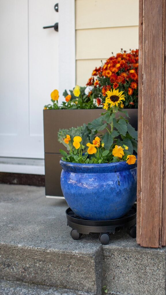 One Generous Planter Beats a Scattering of Small Ones