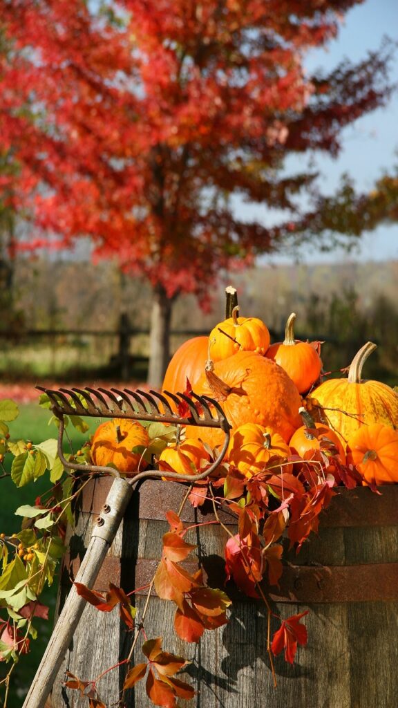 The Fall-to-Thanksgiving Swap in Under Ten Minutes