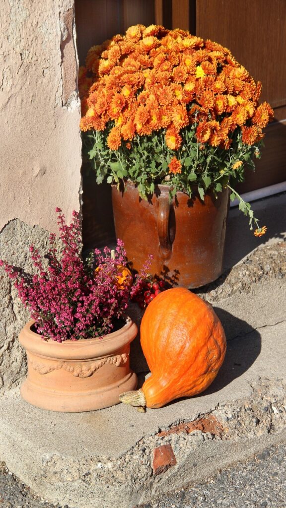 The Thriller-Filler-Spiller Fall Plant Shopping List