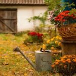 Pet-Safe Fall Porch Decor: A Beautiful Entrance That Won’t Harm Your Dog or Cat