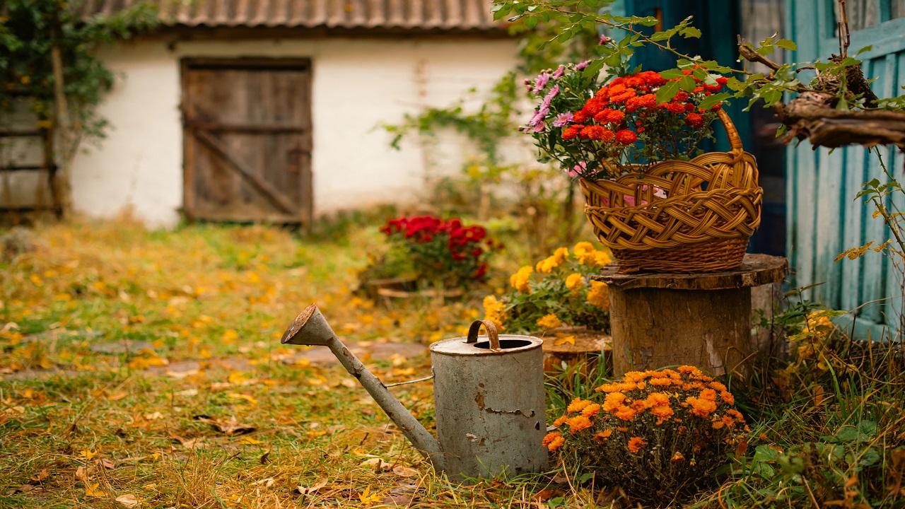 Pet-Safe Fall Porch Decor: A Beautiful Entrance That Won’t Harm Your Dog or Cat