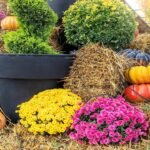Mums, Pumpkins & Hay Bales: The Classic Fall Porch Trio, Done Right