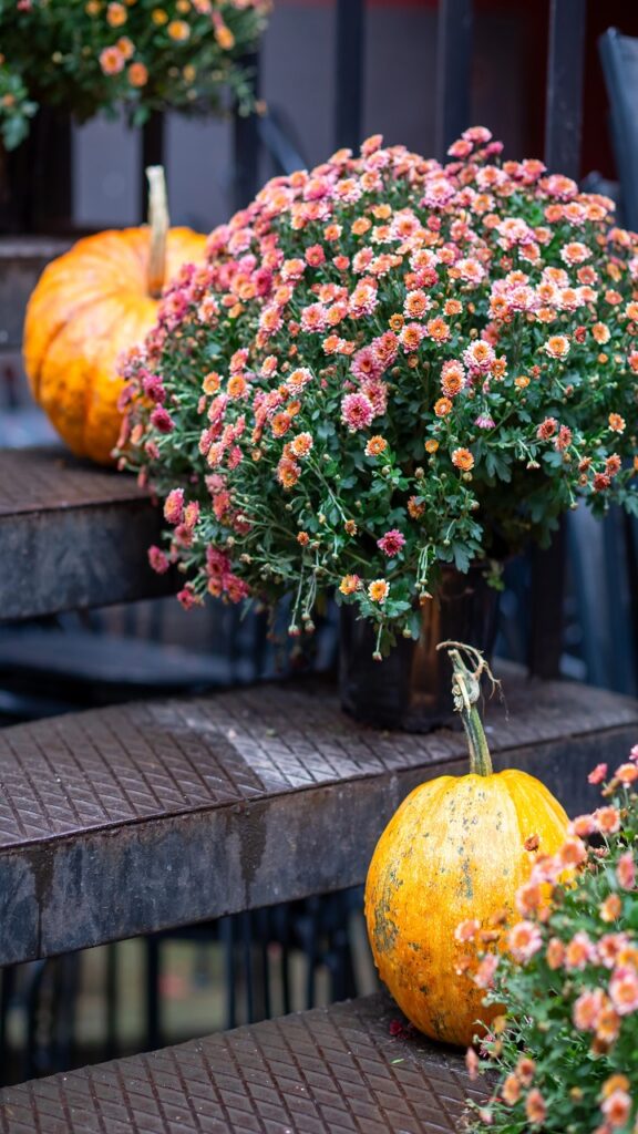 Why Traditional Fall Decor Fails in the Heat
