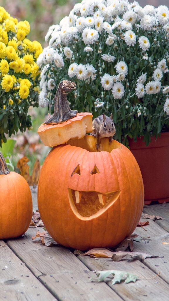 The Modern Fall Color Palette Lives in the Neutrals