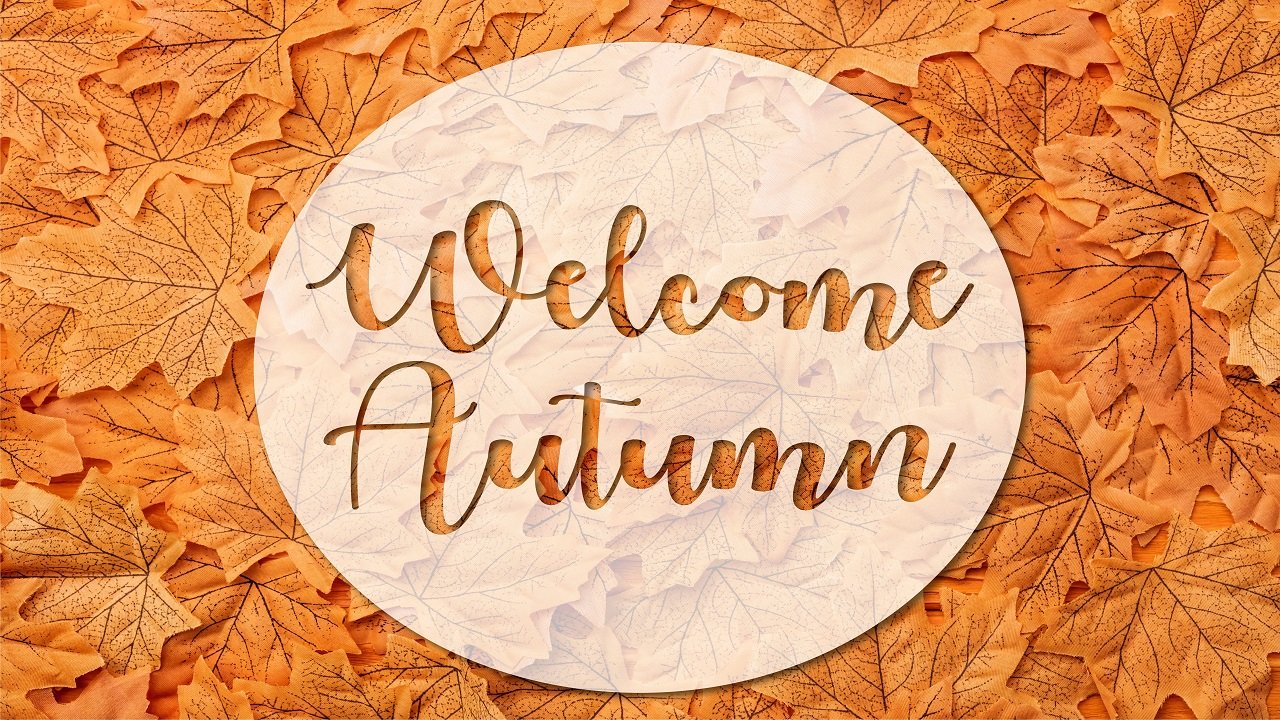 DIY Fall Porch Signs & Leaners: Make a Statement Piece for Under $20