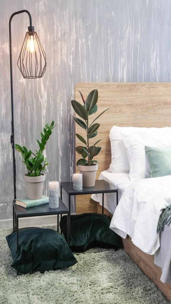 The Honest Truth About Plants and Air Quality