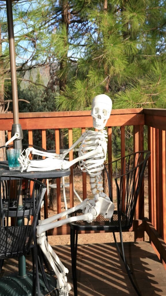 Skeleton Sitting on the Porch Chair (The Domestic Horror Scene)