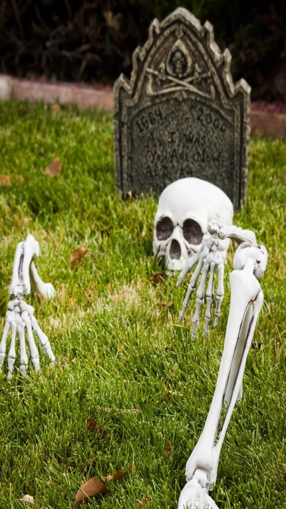 Plan Your Graveyard Zone Before You Buy Anything
