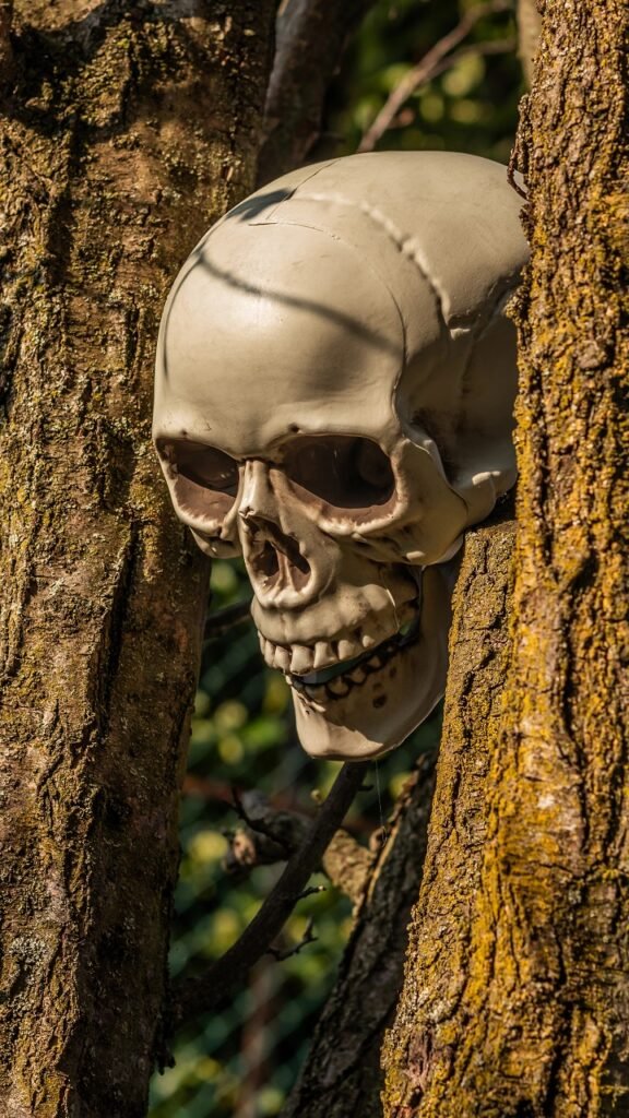 Skeleton Rising From the Ground (The Buried Alive Scene)