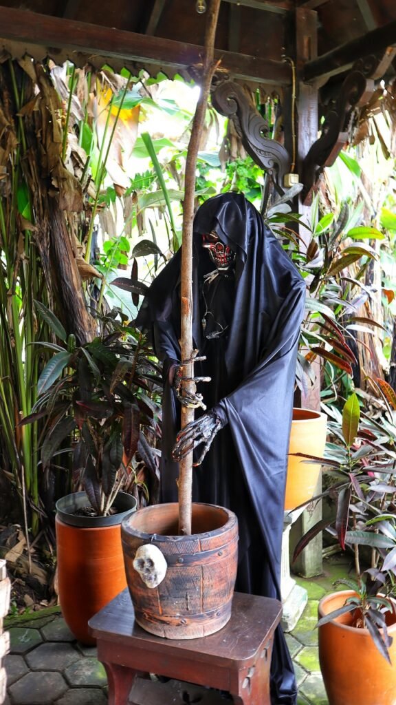 A Grim Reaper Figure in the Yard Reads as Threatening From Thirty Feet Away
