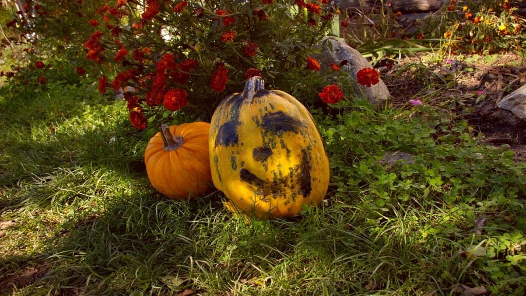 A Painted Pumpkin Cluster in Pastel or Bright Colors Is Halloween Without the Spook
