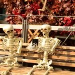 15 Outdoor Skeleton Decoration Ideas That Tell a Story (Not Just a Lone Bone)