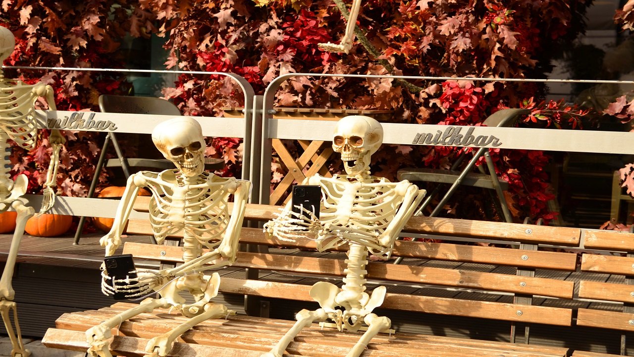 15 Outdoor Skeleton Decoration Ideas That Tell a Story (Not Just a Lone Bone)